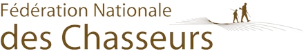 logo europe